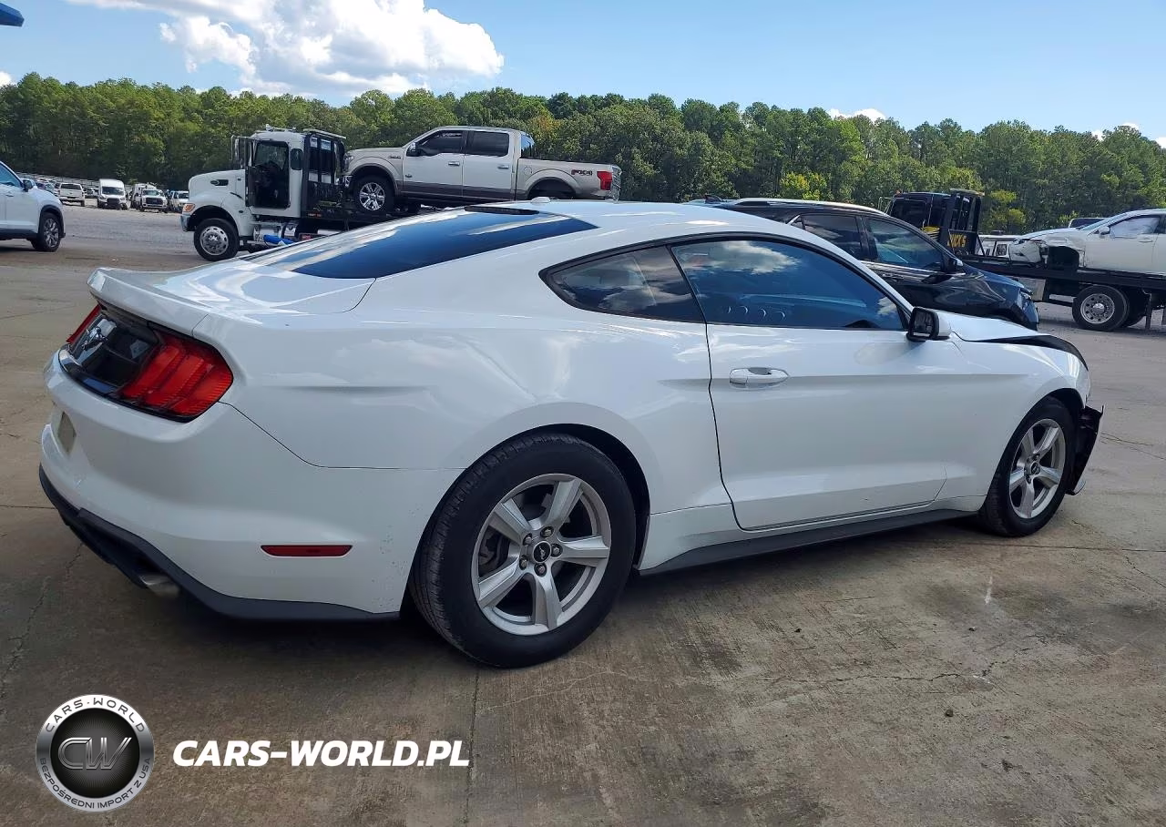 2019 Ford Mustang VIN:1FA6P8TH4K5203944 - 3