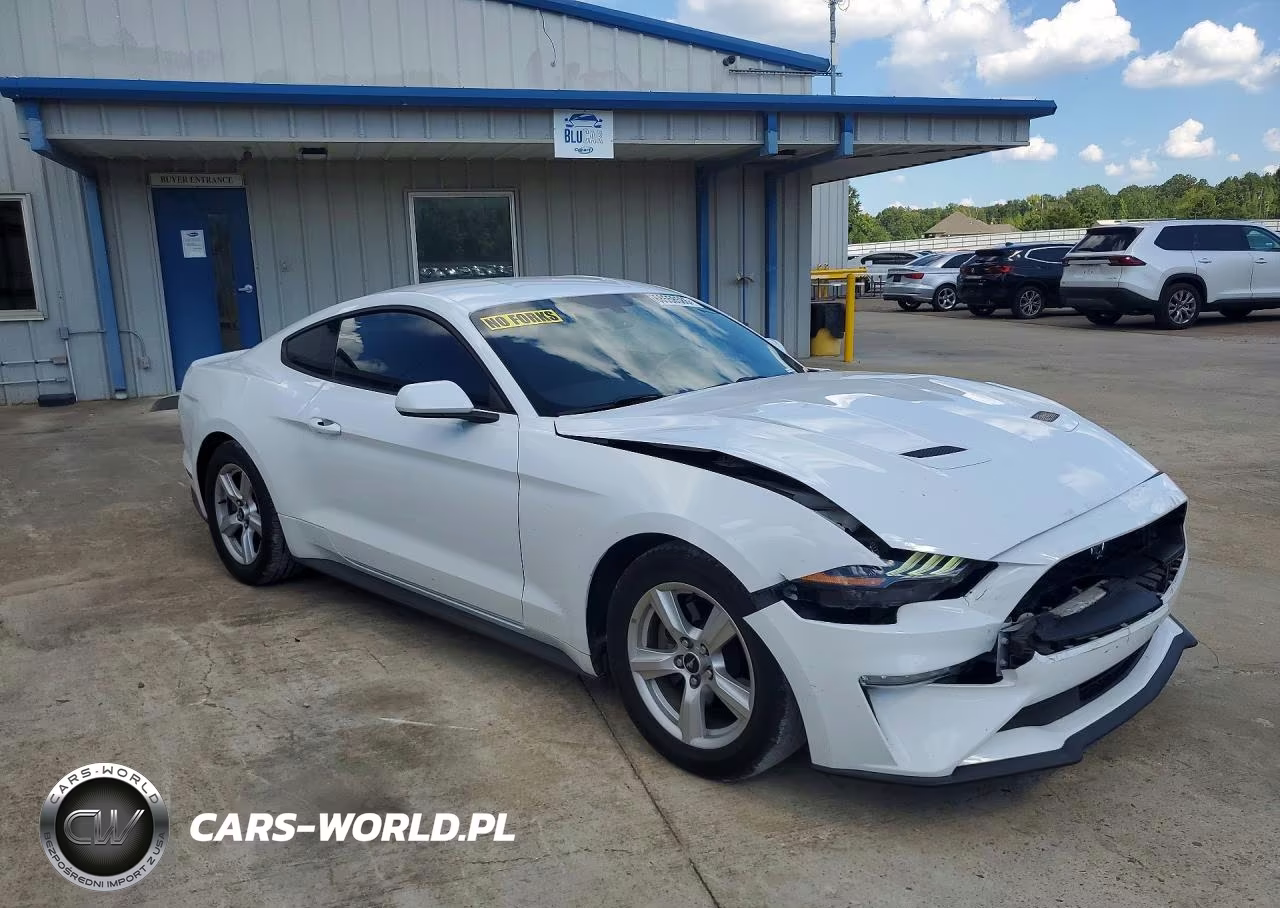 2019 Ford Mustang VIN:1FA6P8TH4K5203944 - 4