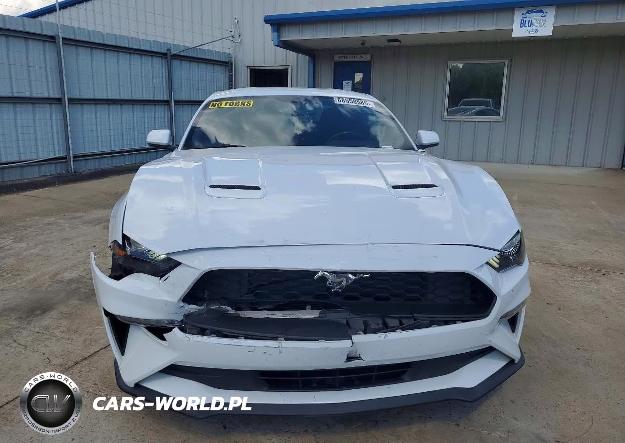 2019 Ford Mustang VIN:1FA6P8TH4K5203944 - 5