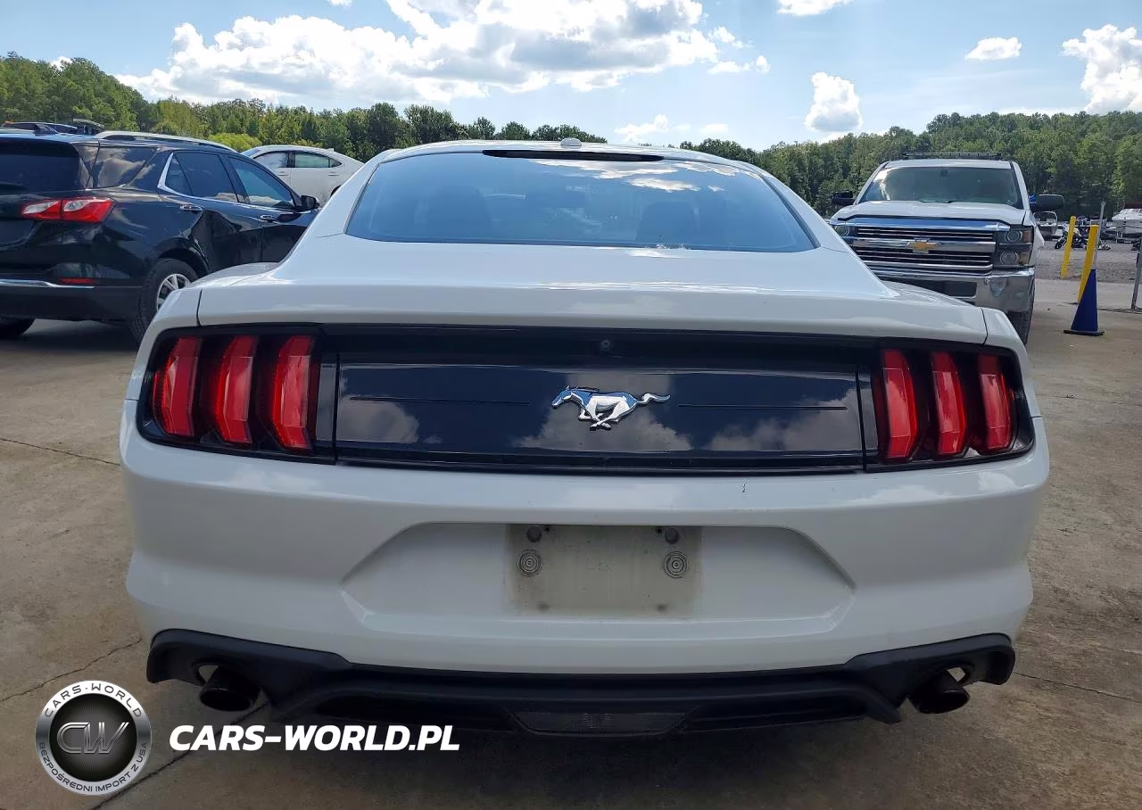 2019 Ford Mustang VIN:1FA6P8TH4K5203944 - 6