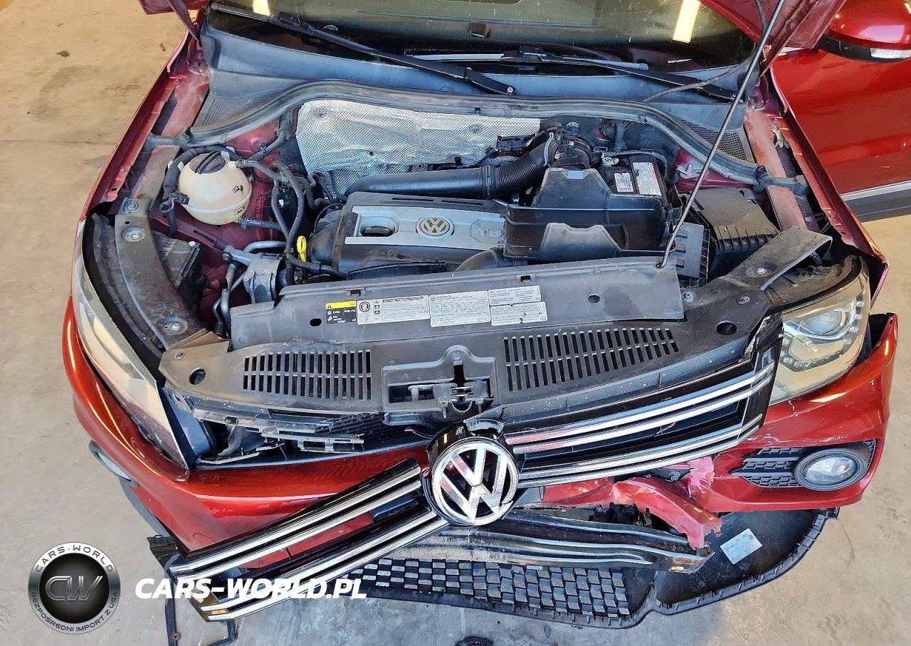 2016 Volkswagen Tiguan S VIN:WVGBV7AX8GW084022 - 12