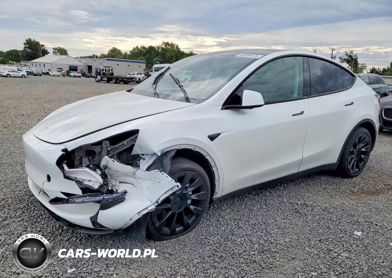 2023 Tesla Model Y VIN:7SAYGDEE0PA128941 - 1