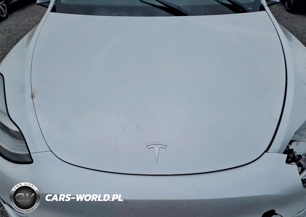 2023 Tesla Model Y VIN:7SAYGDEE0PA128941 - 12