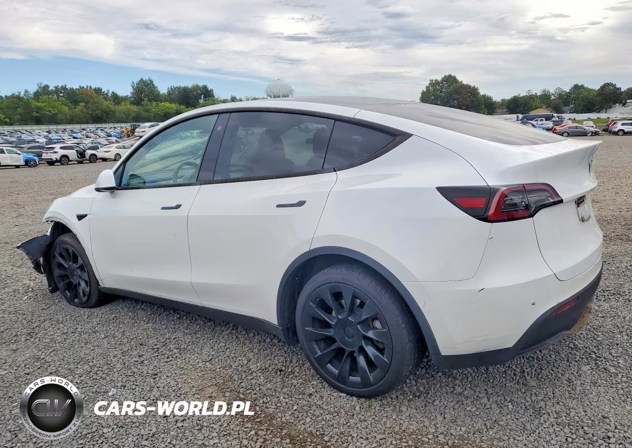2023 Tesla Model Y VIN:7SAYGDEE0PA128941 - 2
