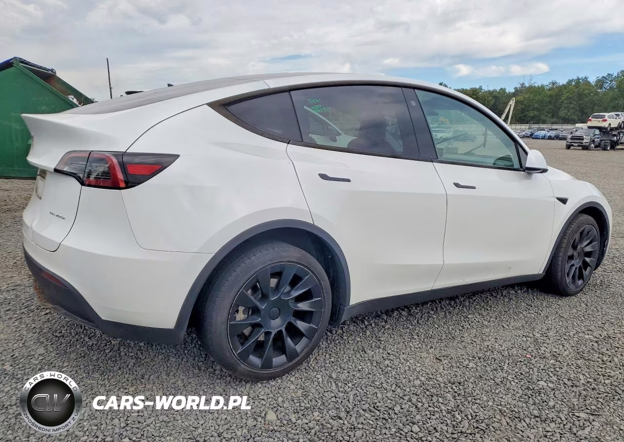 2023 Tesla Model Y VIN:7SAYGDEE0PA128941 - 3