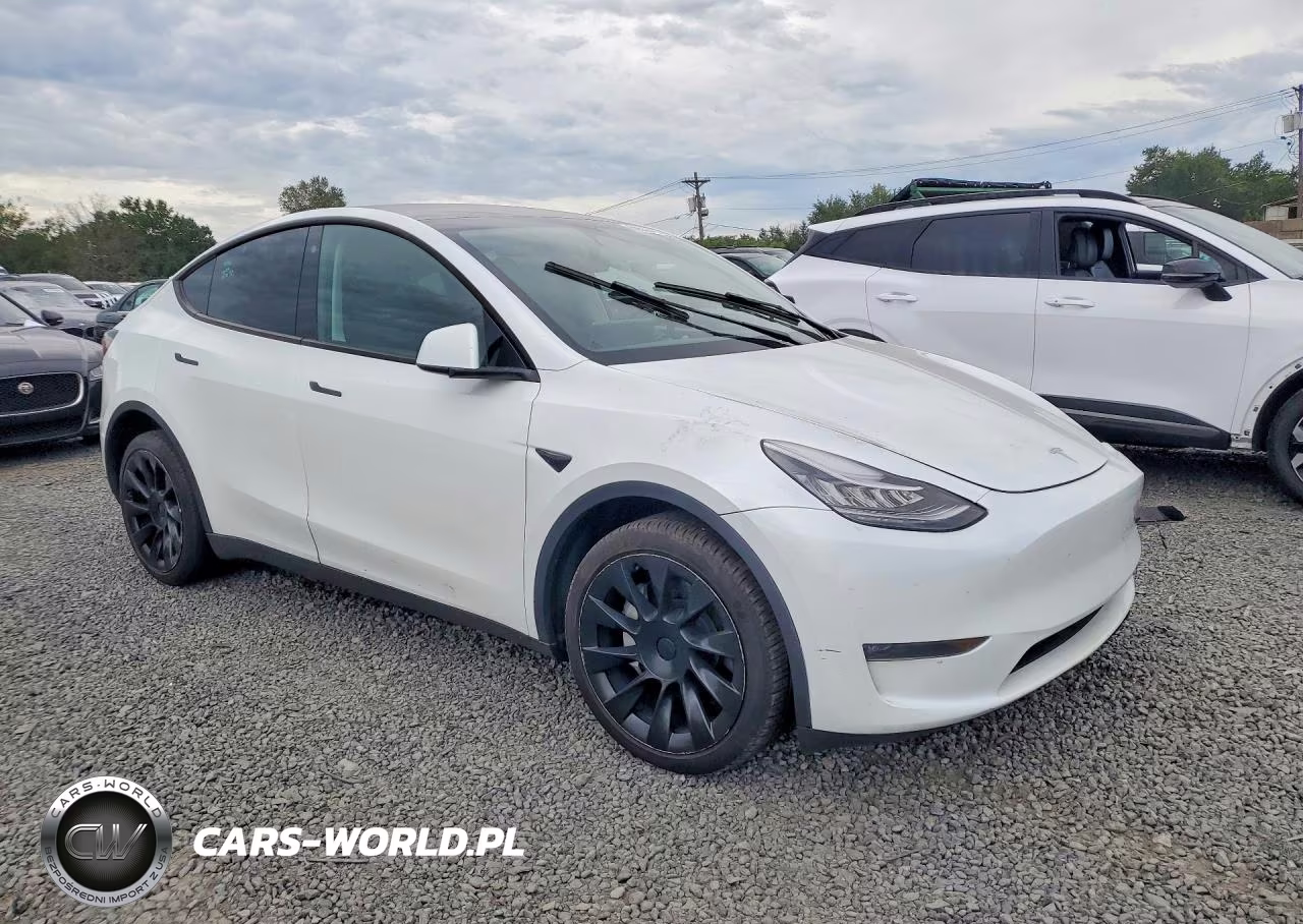 2023 Tesla Model Y VIN:7SAYGDEE0PA128941 - 4