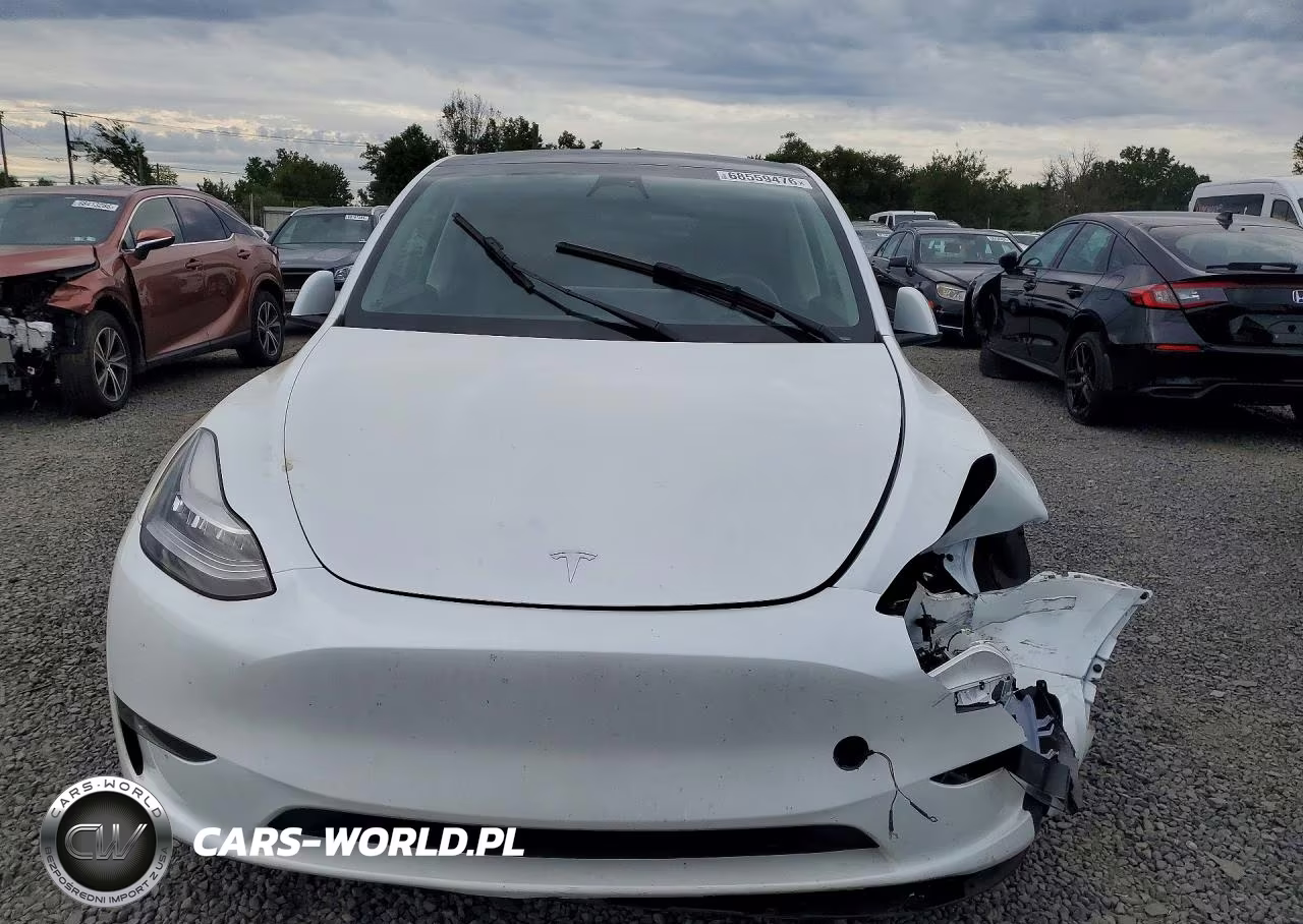 2023 Tesla Model Y VIN:7SAYGDEE0PA128941 - 5