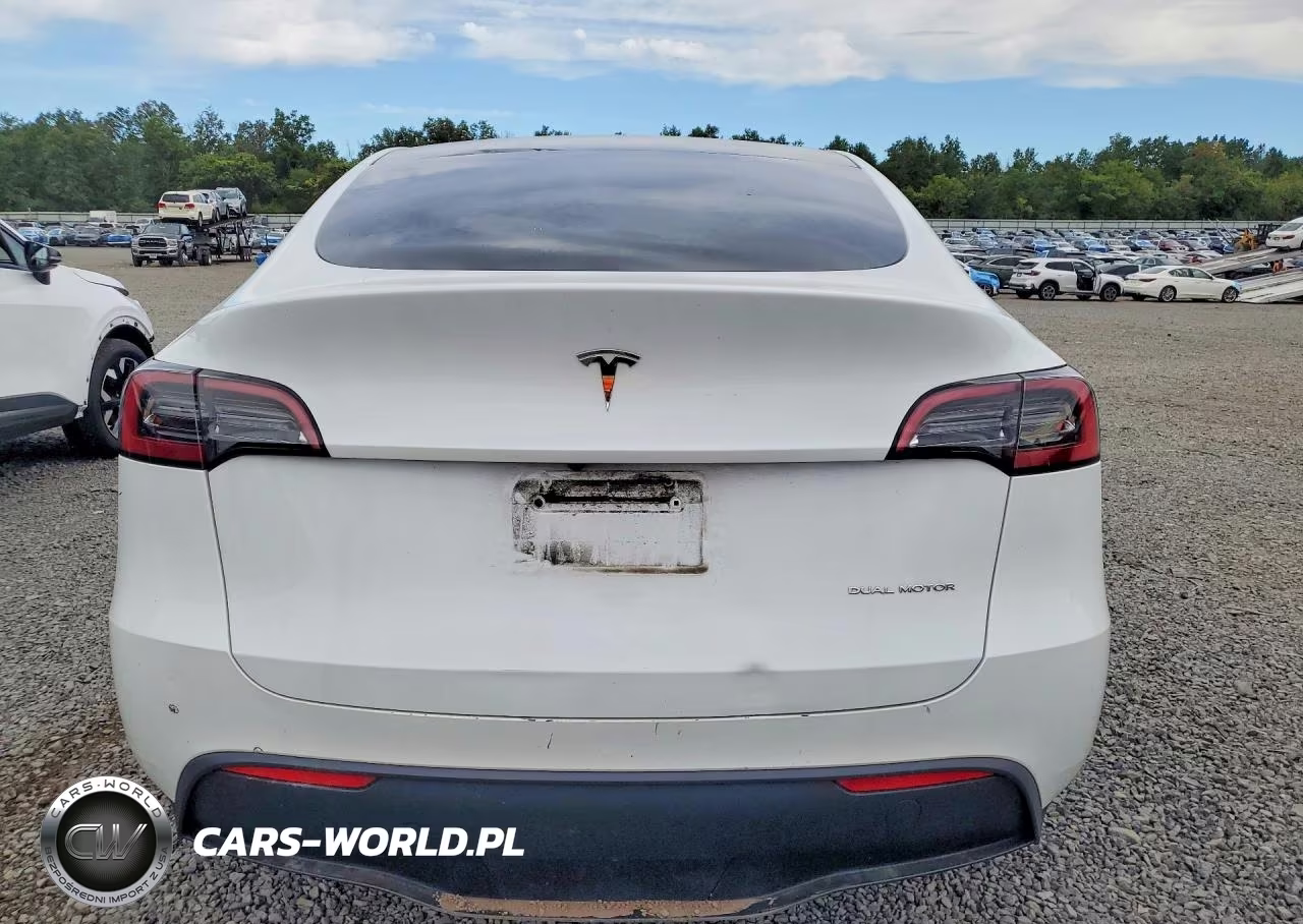 2023 Tesla Model Y VIN:7SAYGDEE0PA128941 - 6