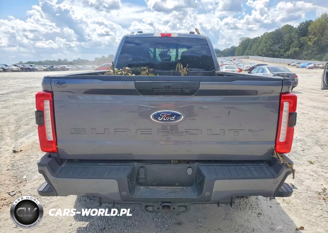2023 Ford F350 Super Duty VIN:1FT8W3BTXPED14245 - 6
