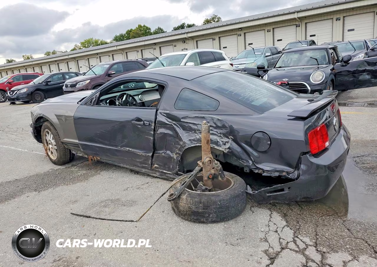 2007 Ford Mustang VIN:1ZVHT80N975260069 - 2