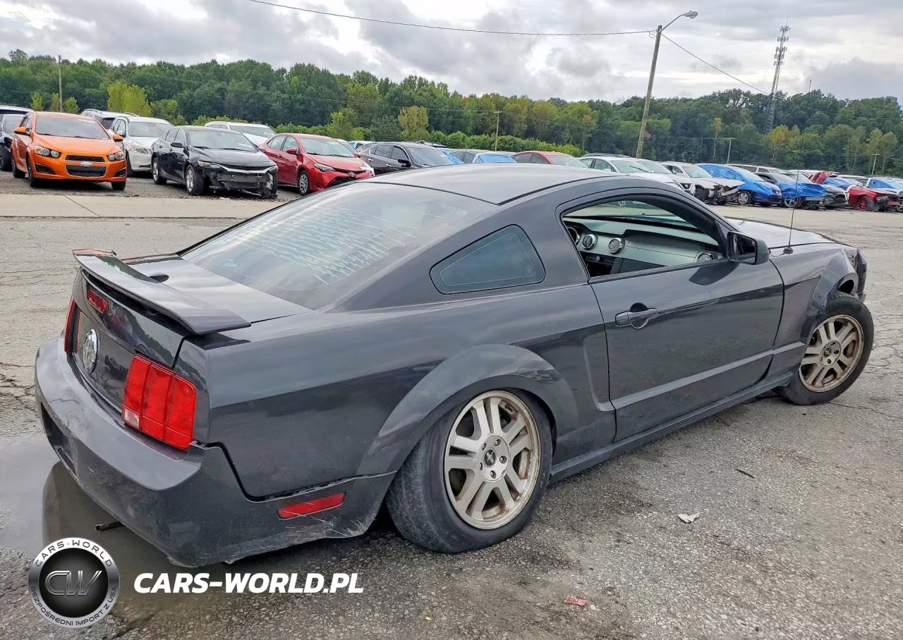 2007 Ford Mustang VIN:1ZVHT80N975260069 - 3
