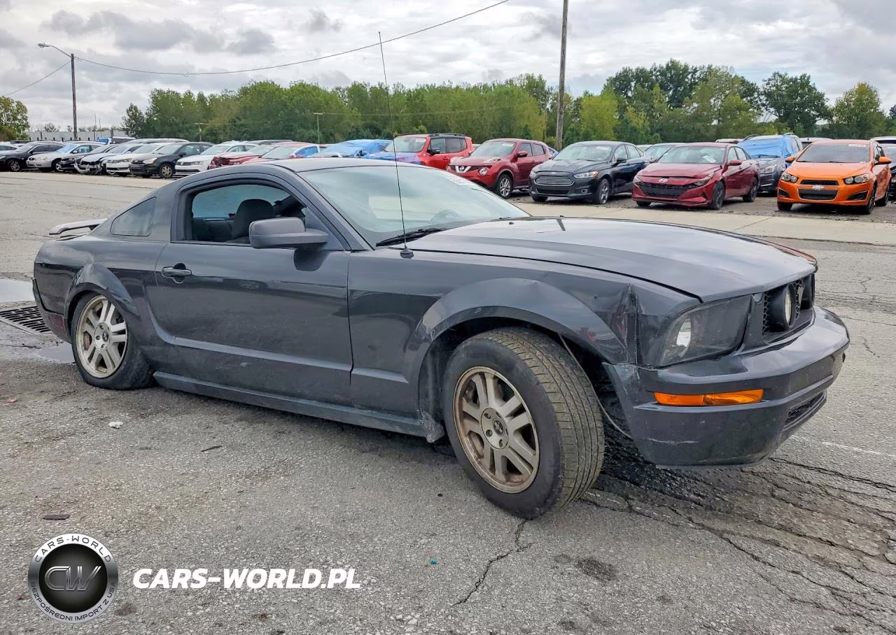 2007 Ford Mustang VIN:1ZVHT80N975260069 - 4