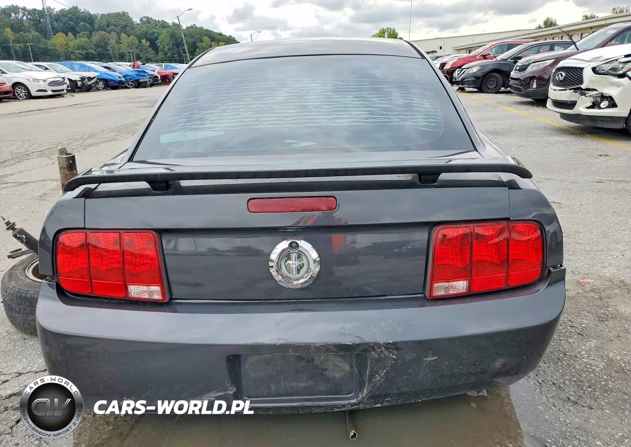 2007 Ford Mustang VIN:1ZVHT80N975260069 - 6