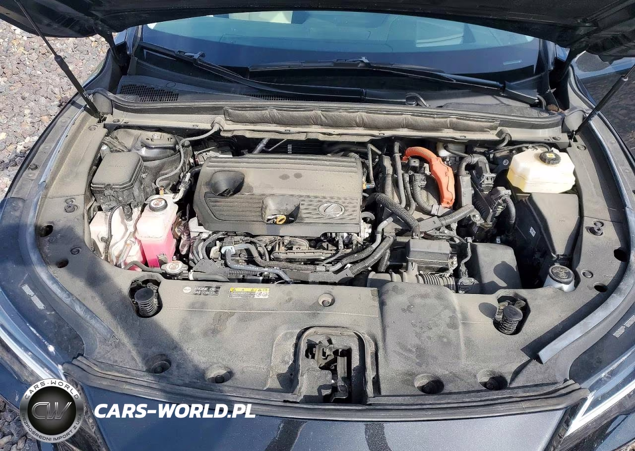 2024 Lexus Rx 350H Premium+ VIN:2T2BBMCA6RC029600 - 12