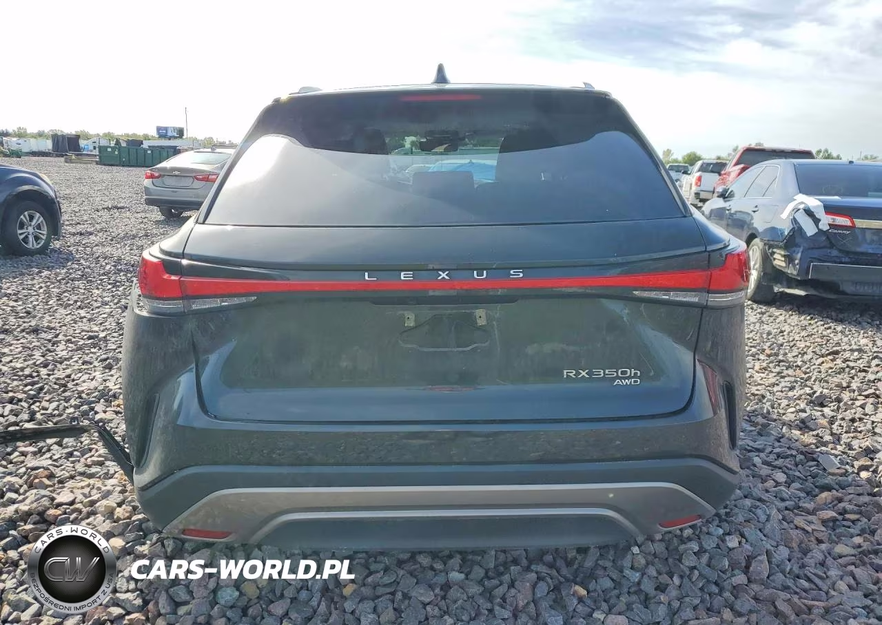 2024 Lexus Rx 350H Premium+ VIN:2T2BBMCA6RC029600 - 6