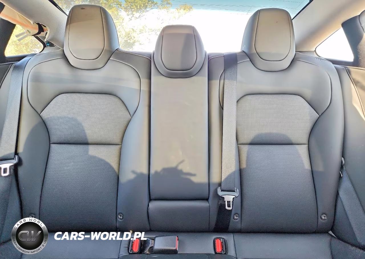 2025 Tesla Model 3 VIN:5YJ3E1EAXSF030780 - 10