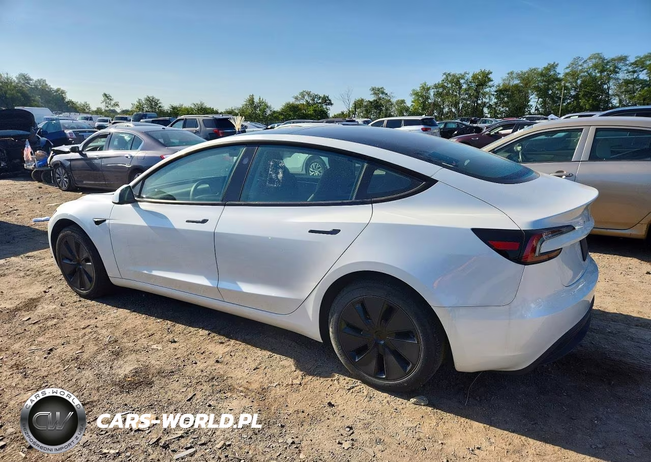 2025 Tesla Model 3 VIN:5YJ3E1EAXSF030780 - 2