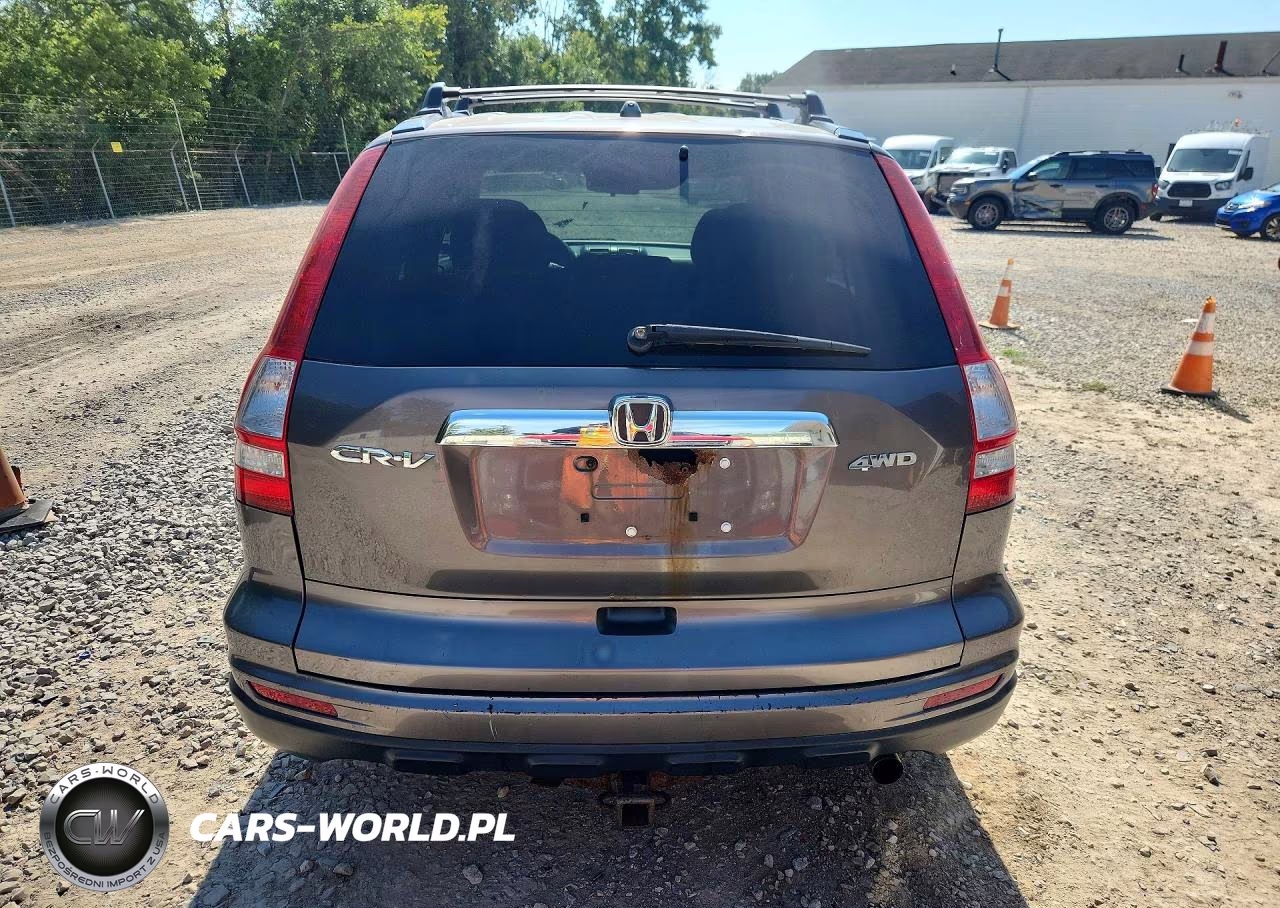 2010 Honda Cr-V Ex VIN:3CZRE4H59AG701448 - 6