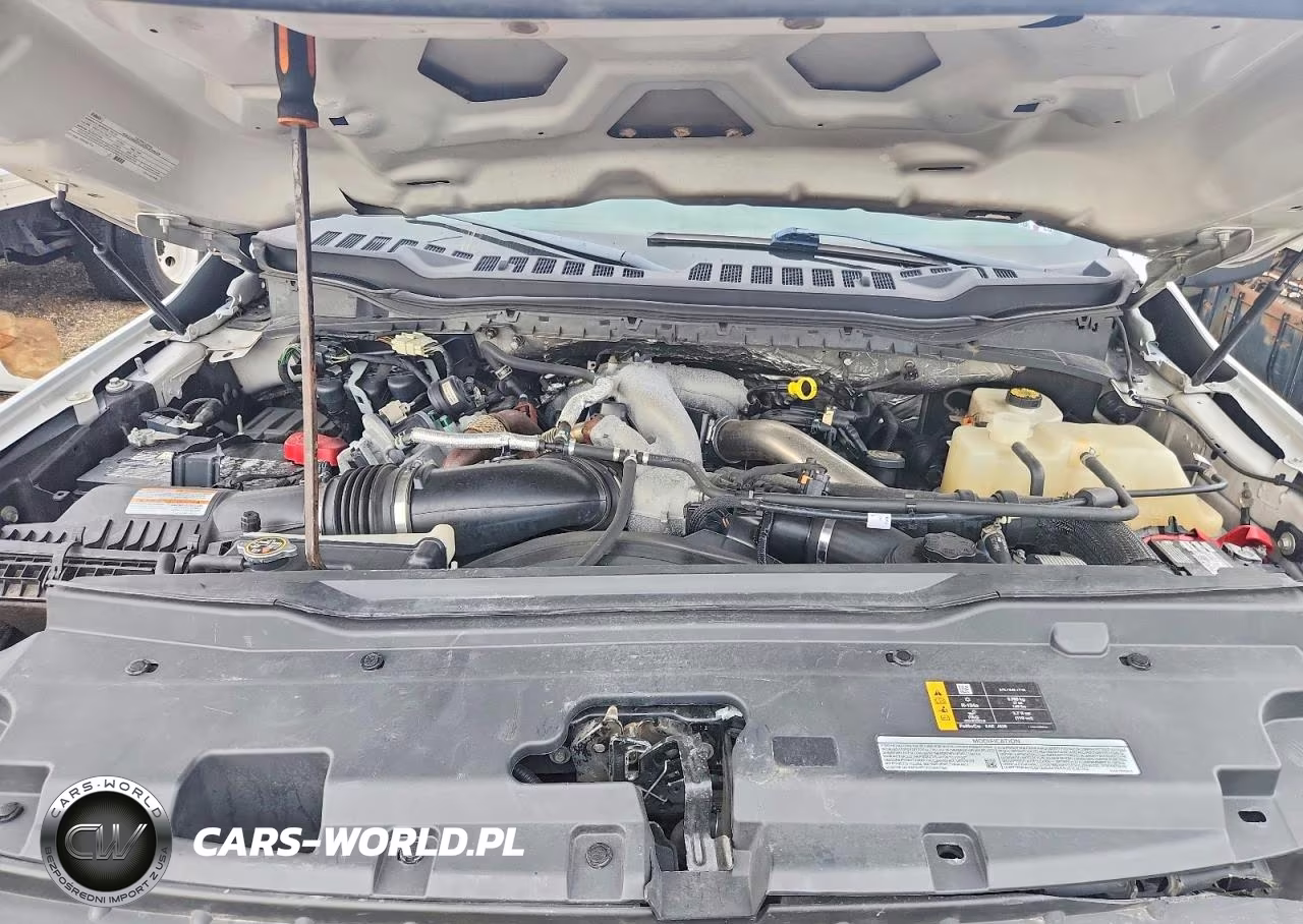 2023 Ford F350 Super Duty VIN:1FT8W3DT1PEC18744 - 11