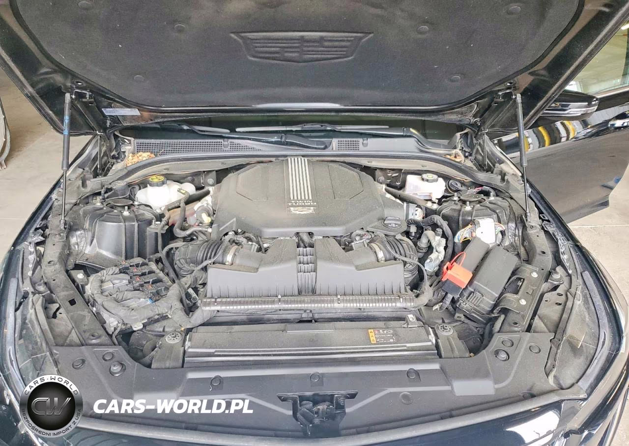 2022 Cadillac Ct5 Premium Luxury VIN:1G6DT5RW9N0110617 - 11
