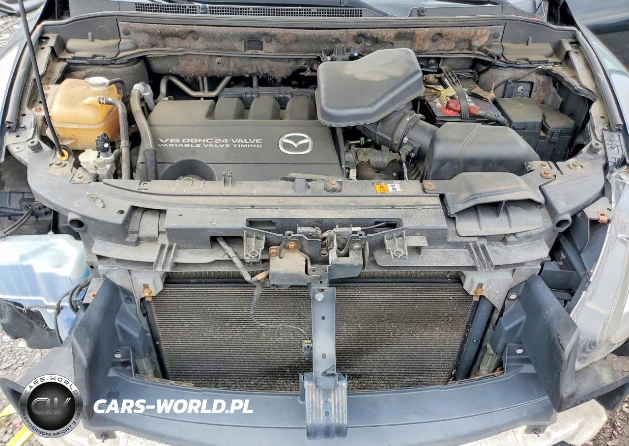 2008 Mazda Cx-9 VIN:JM3TB28VX80146783 - 12