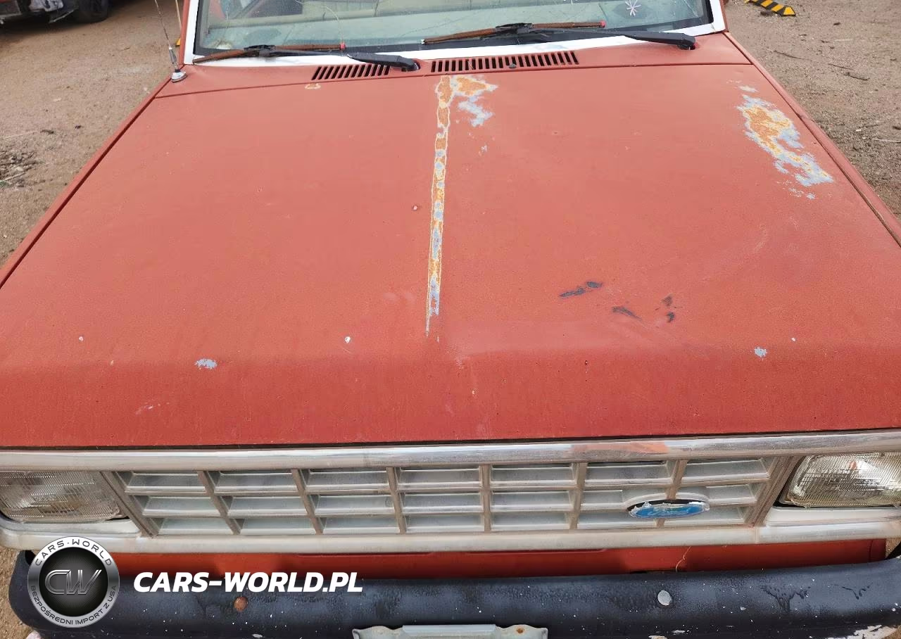 1984 Ford Ranger VIN:1FTCR11A3EUD69810 - 11