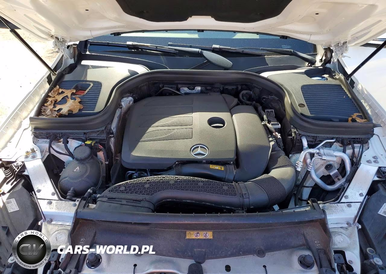 2022 Mercedes-Benz Glc 300 4Matic VIN:W1N0G8EB3NV389160 - 12