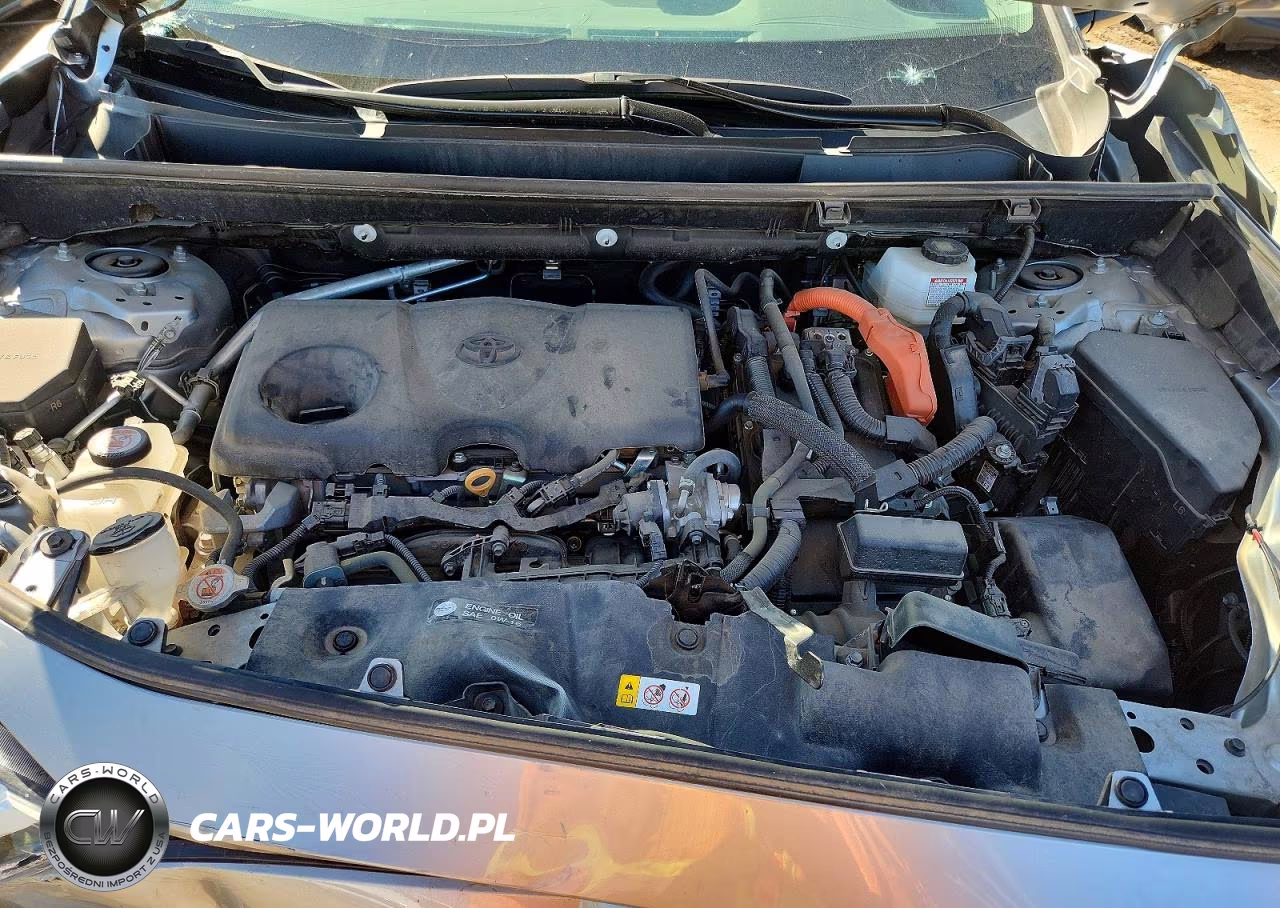 2024 Toyota Rav4 Le VIN:2T3LWRFVXRW240376 - 11