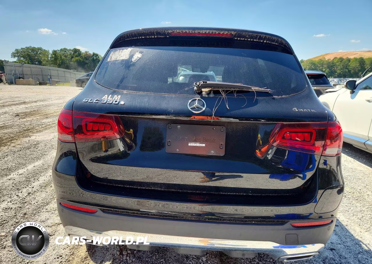 2020 Mercedes-Benz Glc 350E VIN:W1N0G5DB3LF780896 - 6