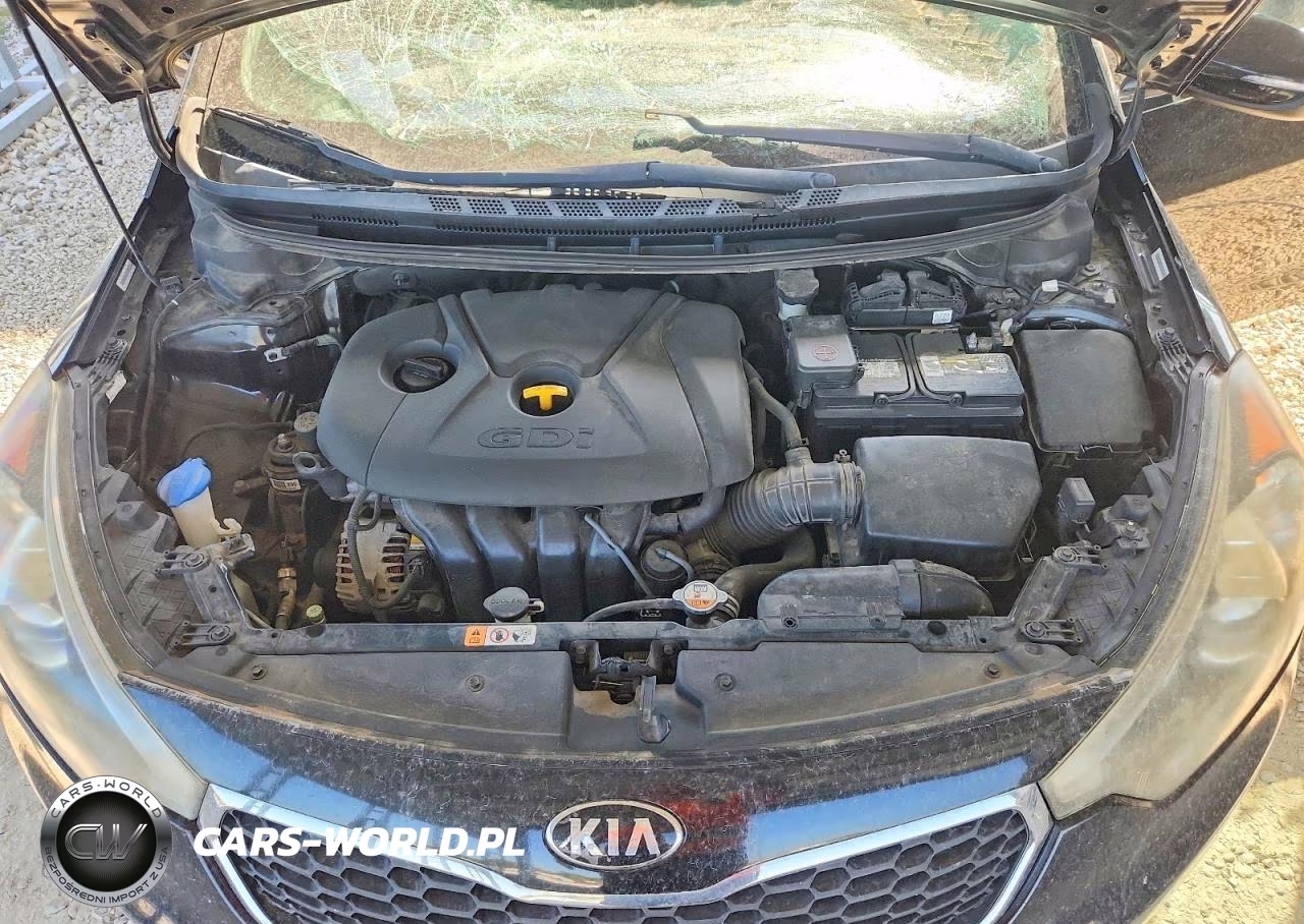 2015 Kia Forte Ex VIN:KNAFX5A86F5324361 - 12