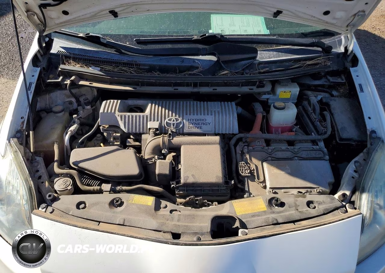 2010 Toyota Prius VIN:JTDKN3DU4A0019189 - 11