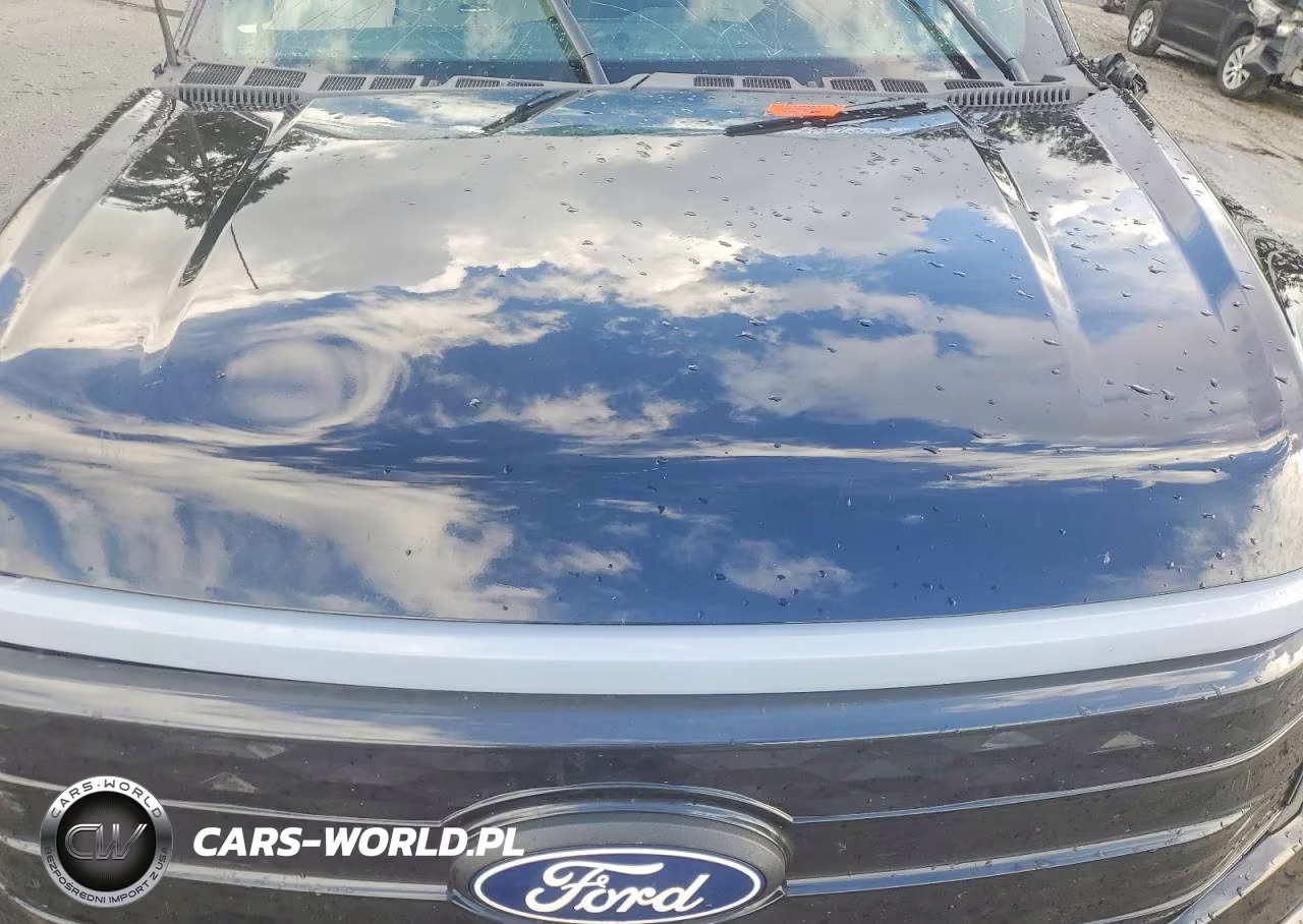 2024 Ford F150 Lightning Platinum VIN:1FT6W7L7XRWG29706 - 11