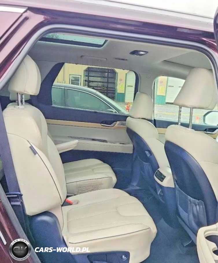 2024 Hyundai Palisade Limited VIN:KM8R5DGE3RU708889 - 10