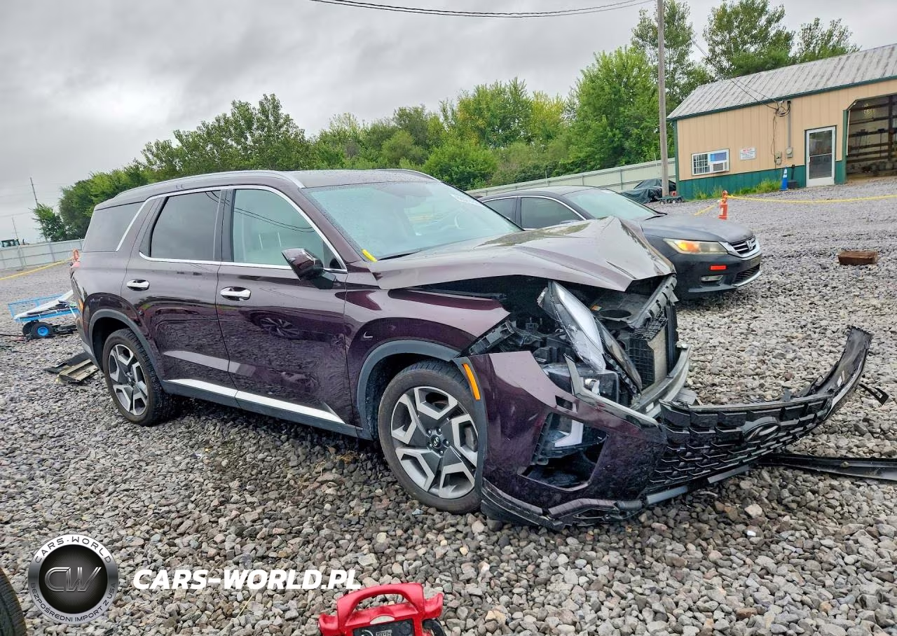 2024 Hyundai Palisade Limited VIN:KM8R5DGE3RU708889 - 4