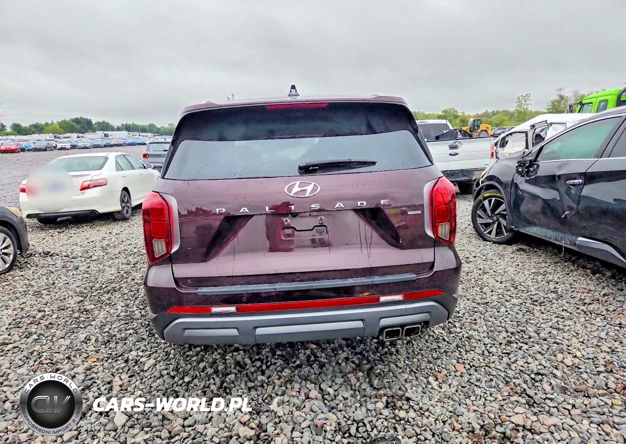 2024 Hyundai Palisade Limited VIN:KM8R5DGE3RU708889 - 6