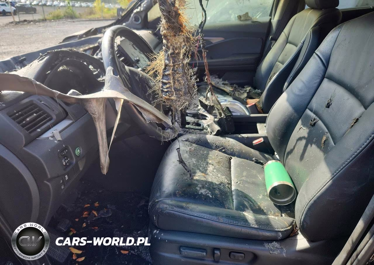 2019 Honda Pilot Exl VIN:5FNYF6H53KB041067 - 7