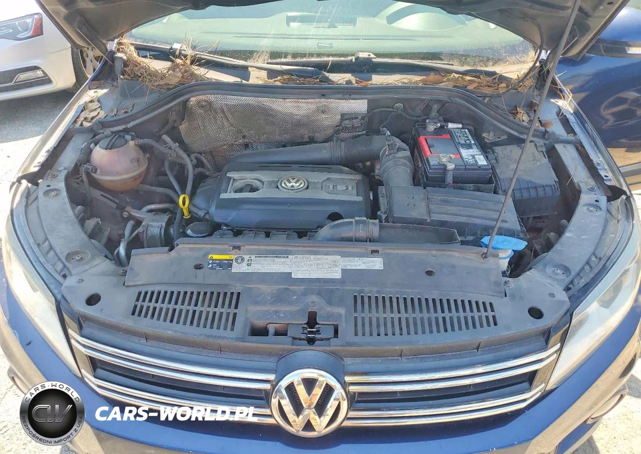 2014 Volkswagen Tiguan S VIN:WVGAV3AX7EW623540 - 12