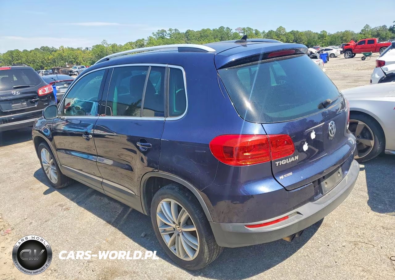 2014 Volkswagen Tiguan S VIN:WVGAV3AX7EW623540 - 2