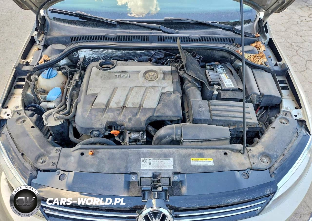 2013 Volkswagen Jetta Tdi VIN:3VWLL7AJ4DM232704 - 11
