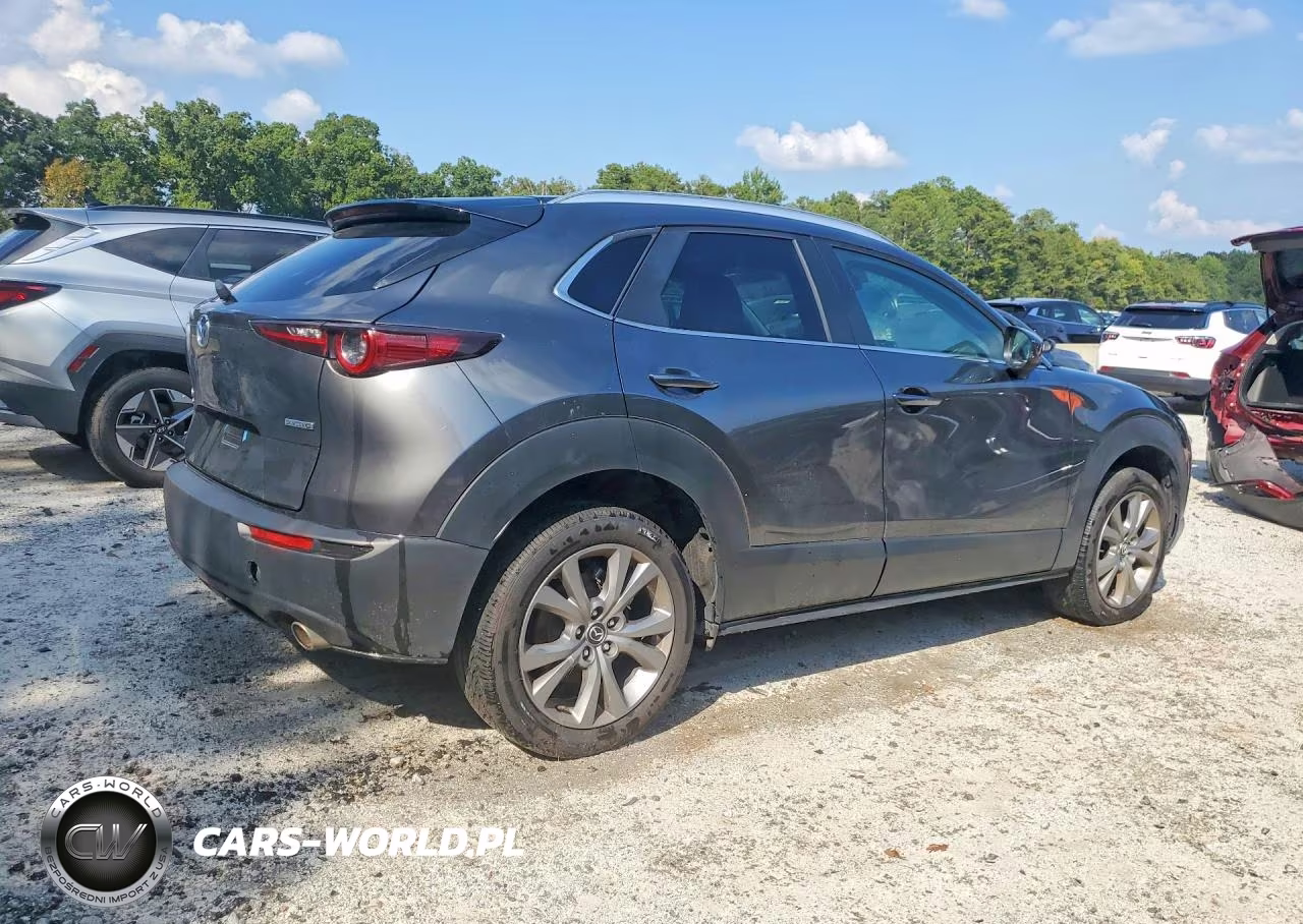 2025 Mazd Cx-30 Pref VIN:3MVDMBCM1SM755706 - 3