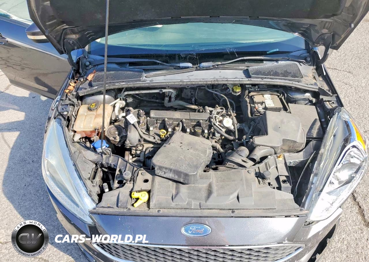 2016 Ford Focus Se VIN:1FADP3K20GL377858 - 11