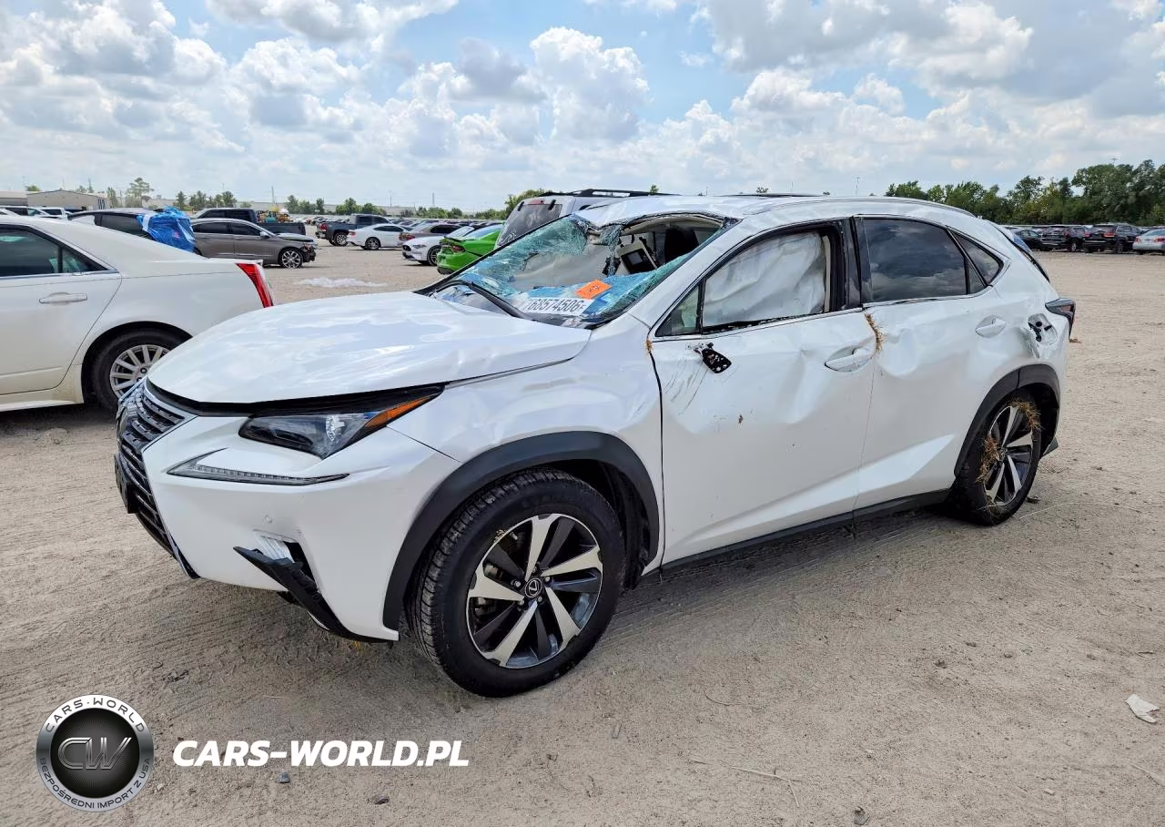 2020 Lexus Nx 300 VIN:JTJGARBZ0L5019227 - 1
