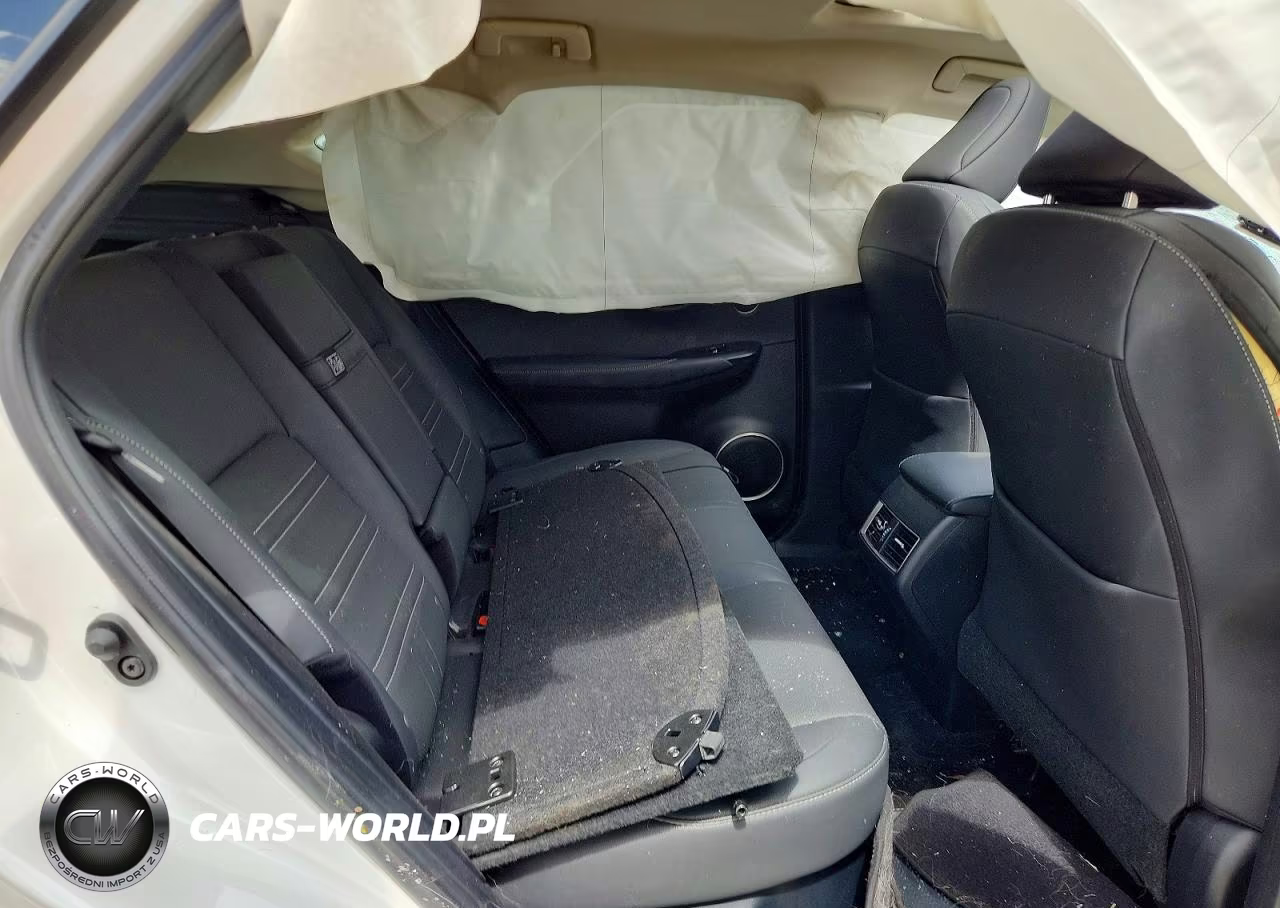 2020 Lexus Nx 300 VIN:JTJGARBZ0L5019227 - 11