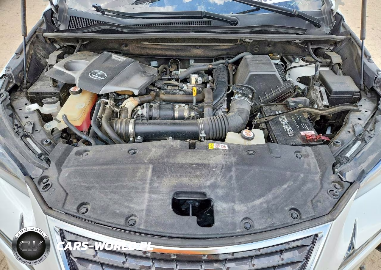 2020 Lexus Nx 300 VIN:JTJGARBZ0L5019227 - 12