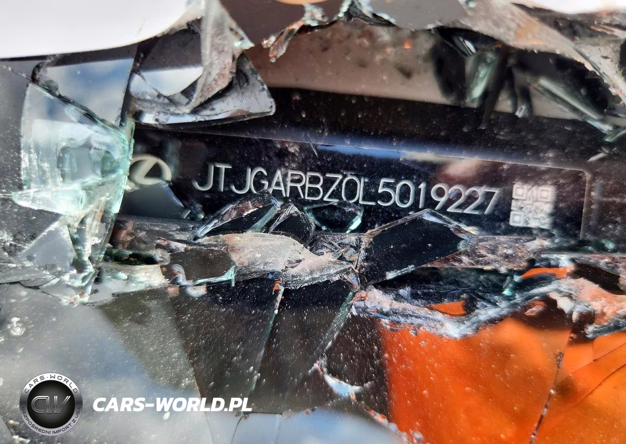2020 Lexus Nx 300 VIN:JTJGARBZ0L5019227 - 13