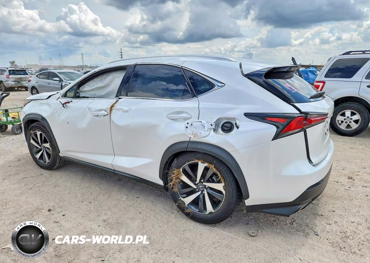 2020 Lexus Nx 300 VIN:JTJGARBZ0L5019227 - 2