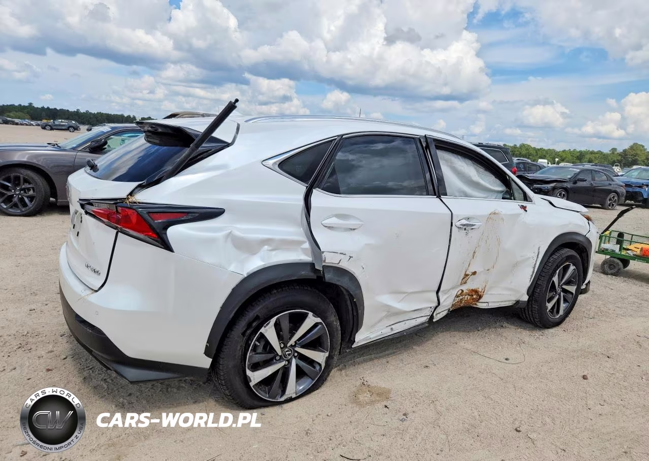 2020 Lexus Nx 300 VIN:JTJGARBZ0L5019227 - 3