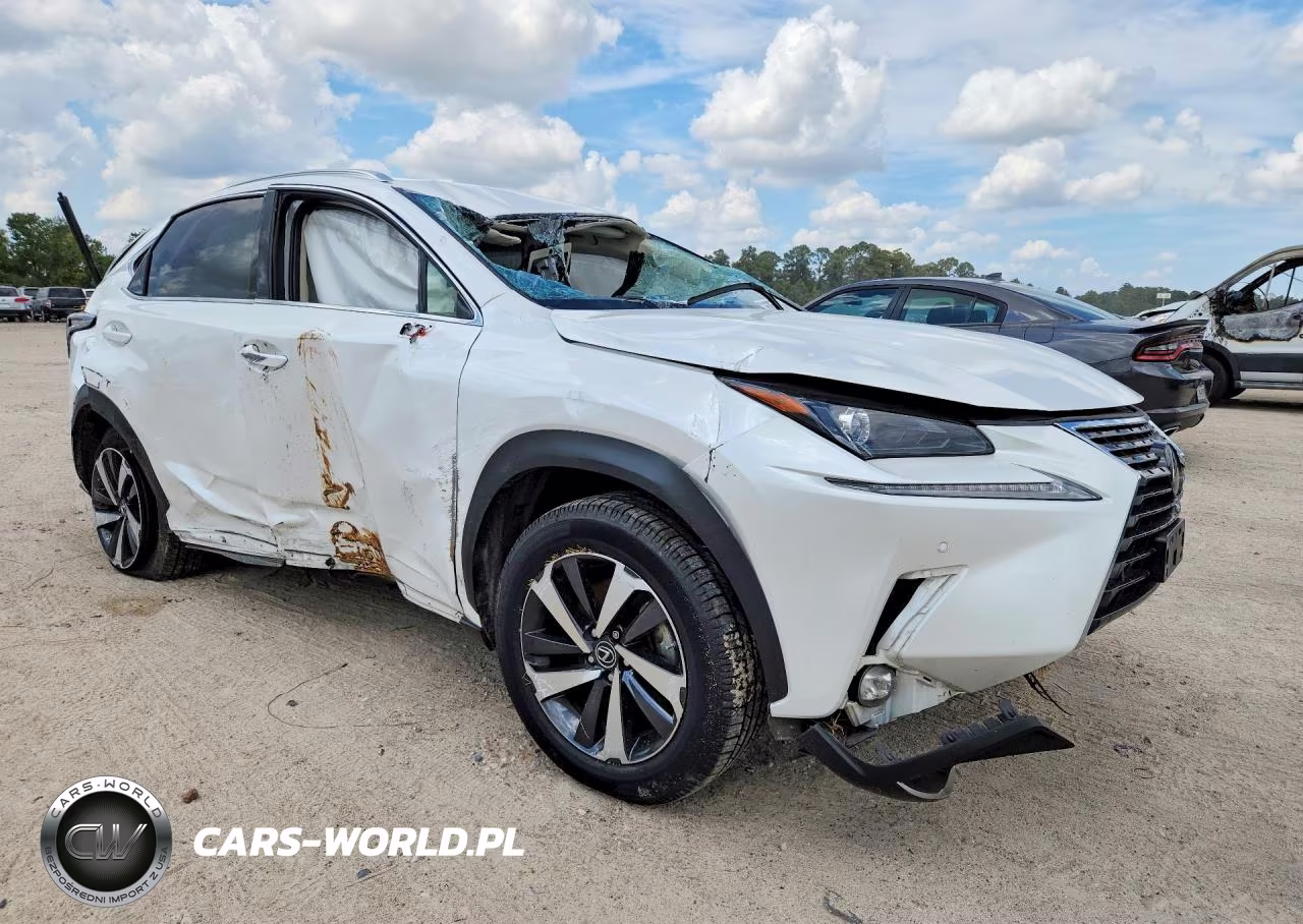 2020 Lexus Nx 300 VIN:JTJGARBZ0L5019227 - 4