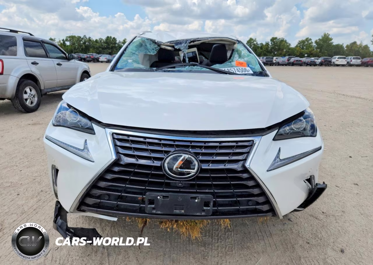2020 Lexus Nx 300 VIN:JTJGARBZ0L5019227 - 5