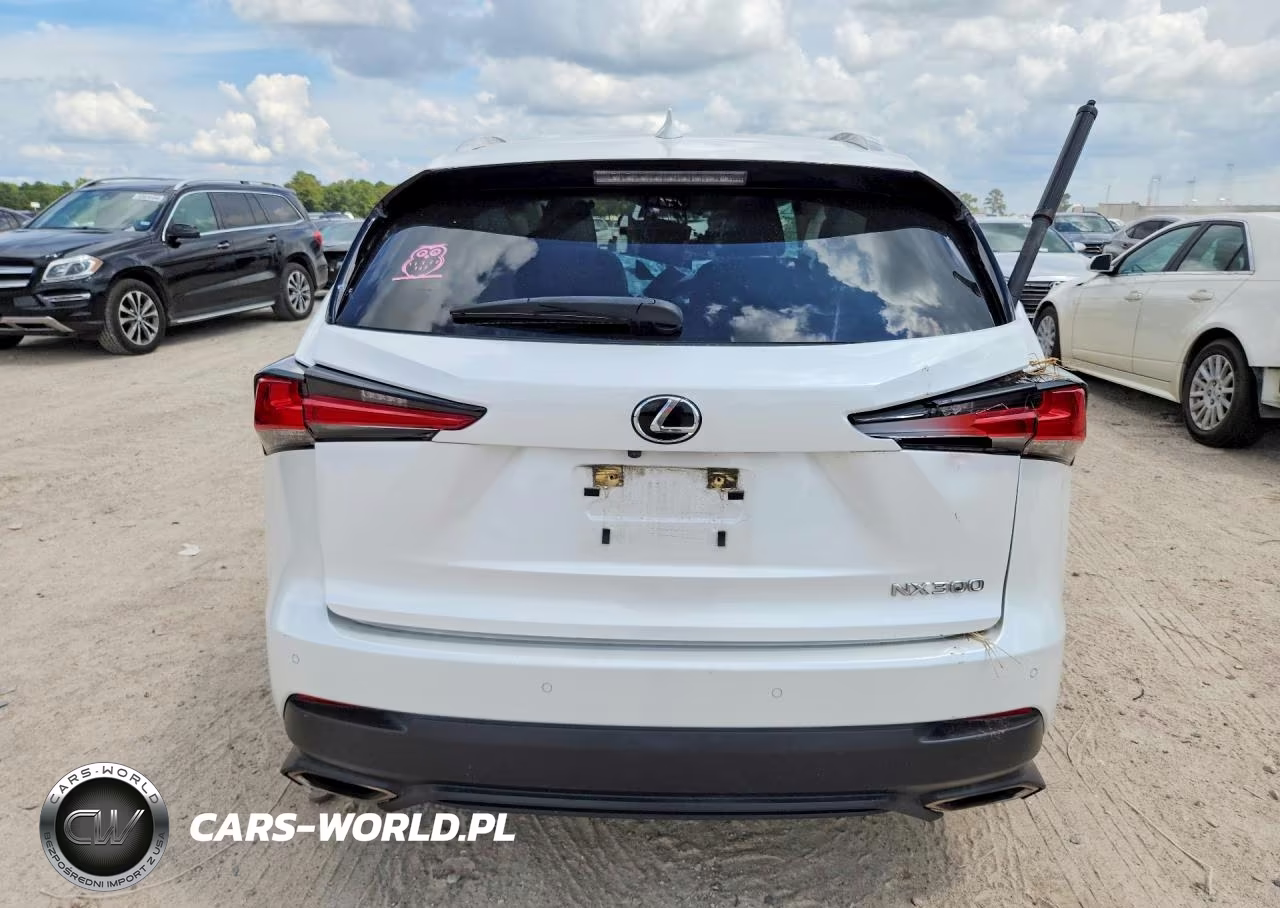 2020 Lexus Nx 300 VIN:JTJGARBZ0L5019227 - 6